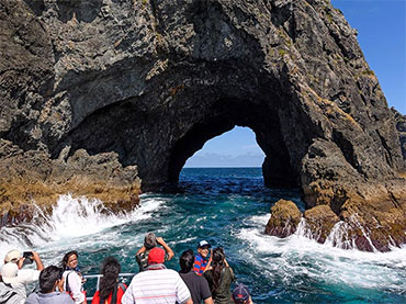 Fuller's GreatSights: Dolphin Cruise to the Hole in the Rock